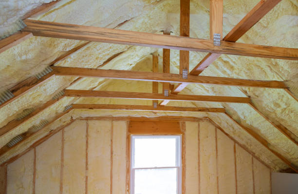 Best Insulation Maintenance and Repair in Tusculum, TN