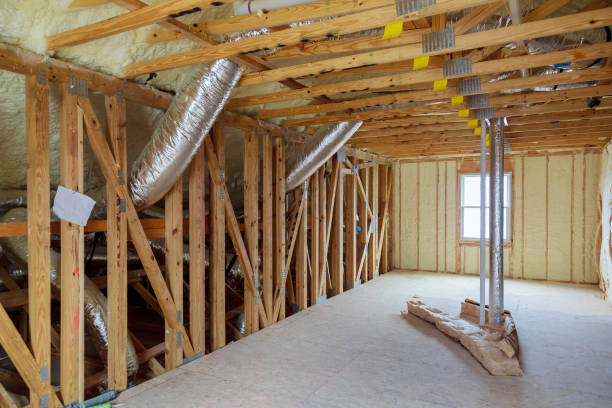 Best Cellulose Insulation in Tusculum, TN
