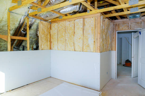 Best Eco-Friendly Insulation in Tusculum, TN