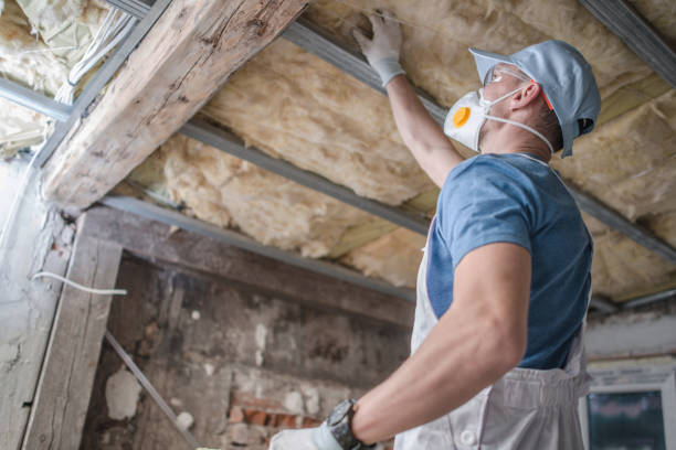Best Spray Foam Insulation in Tusculum, TN