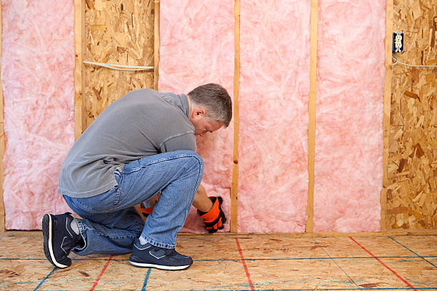 Best Specialized Insulation Services in Tusculum, TN